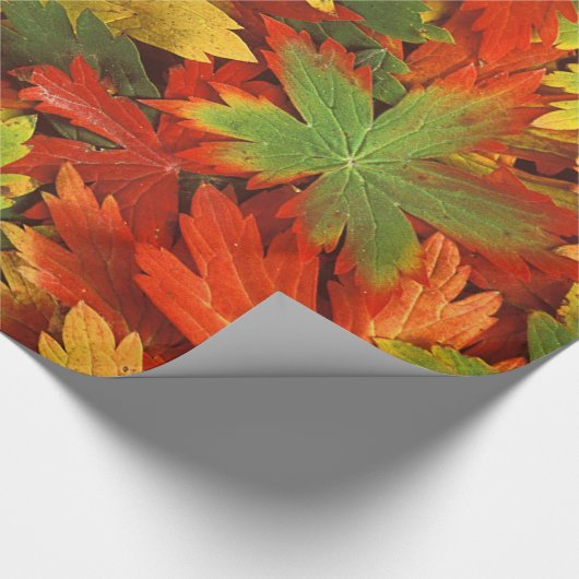 Rood Oranje goud en groene Herfst pinwielbladeren Cadeaupapier (Hoek)