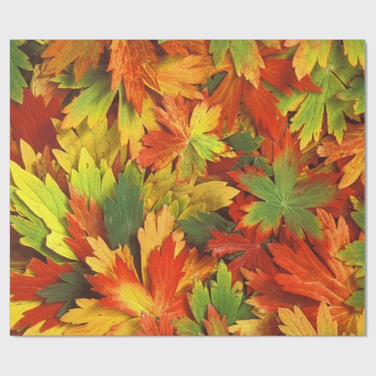 Rood Oranje goud en groene Herfst pinwielbladeren Cadeaupapier (Vlak)