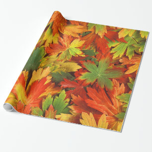 Rood Oranje goud en groene Herfst pinwielbladeren Cadeaupapier