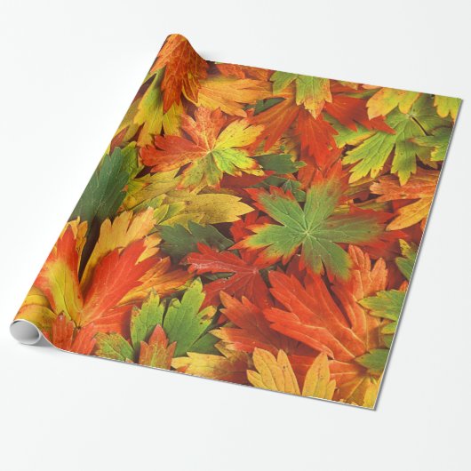Rood Oranje goud en groene Herfst pinwielbladeren Cadeaupapier (Uitgerold)