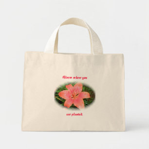 Rood Oranje Lily Bloom waar je Tas bent geplant