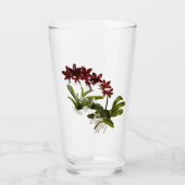 rood orchideeglas glas (Voorkant)