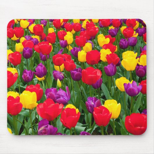 Rood, paars, gele tulpenmousepad muismat (Voorkant)
