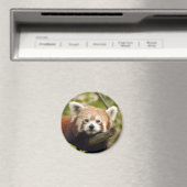 rood-panda-004 magneet (Insitu (Vaatwasser))