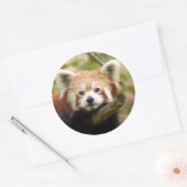 rood-panda-007 ronde sticker (Envelop)