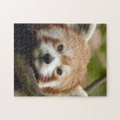 rood-panda-010 legpuzzel (Horizontaal)