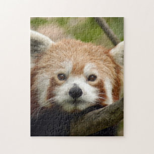 rood-panda-010 legpuzzel