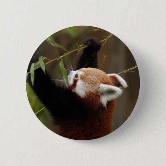 rood-panda-021 ronde button 5,7 cm (Voorkant)