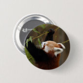 rood-panda-021 ronde button 5,7 cm (Voorkant /achterkant)