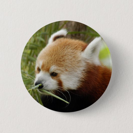 rood-panda-031 ronde button 5,7 cm (Voorkant)