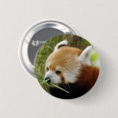 rood-panda-031 ronde button 5,7 cm (Voorkant /achterkant)