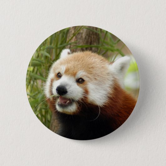 rood-panda-033 ronde button 5,7 cm (Voorkant)
