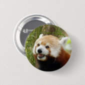 rood-panda-033 ronde button 5,7 cm (Voorkant /achterkant)