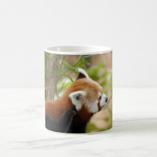rood-panda-035 magische mok