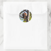 Rood Panda klimt naar beneden Ronde Sticker (Tas)