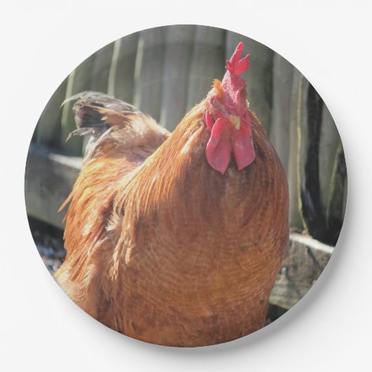 Rood Papieren Bordje (Voorkant)