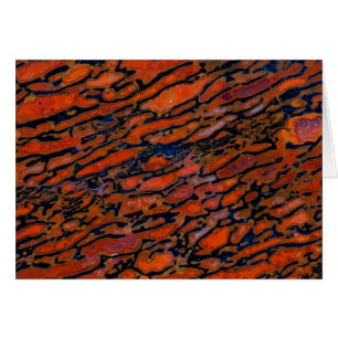 Rood Petrified dinosaur bone