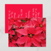 Rood-Poinsettias kerstfeestdagen Kaart (Voorkant / Achterkant)
