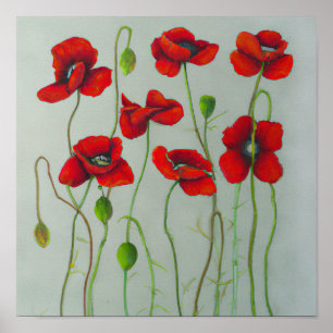 Rood Poppy Flowers Art Print Poster
