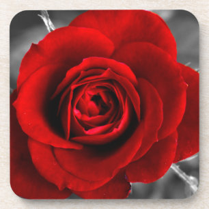 Rood Rose Gothic Onderzetters