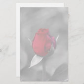 Rood Rosebud Briefpapier (Voorkant / Achterkant)