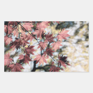 Rood roze en bruin herfstblad rechthoekige sticker