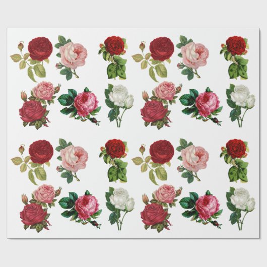 rood roze en wit rozenpapier cadeaupapier (Vlak)