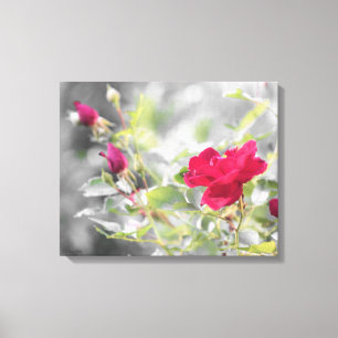 Rood roze Struik Verrekte canvas afdrukken