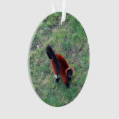 Rood Ruffed Lemur #1-1 Ornament (voorkant)