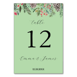 Rood rustiek kerstgroen en dennenappel kaart