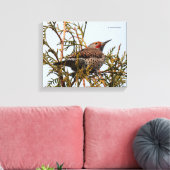 Rood-Shafted Northern Flicker in een boom Canvas Afdruk (Insitu (Woonkamer))