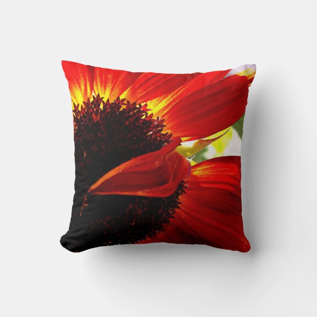 Rood Sinaasappel Gerbera Daisy Foto Modern Bold St Kussen (Voorkant)