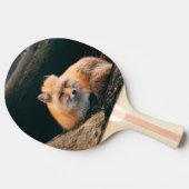 Rood slipje tafeltennisbatje (Zijkant)