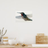 Rood-Throated Hummingbird Poster (Keuken)