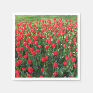 Rood Tulpen 01 Servet
