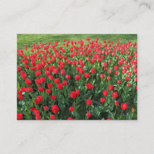 Rood Tulpen 01 Visitekaartje