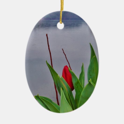 Rood Tulps Blue Lake Arrowiad water Keramisch Ornament (Voorkant)