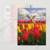 Rood Tulpveld, Oregon-bloemen Briefkaart (Voorkant / Achterkant)