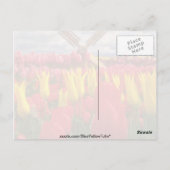 Rood Tulpveld, Oregon-bloemen Briefkaart (Achterkant)