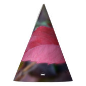 Rood van herfst feesthoedjes (Links)
