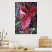 Rood van herfst poster (Keuken)