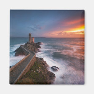 Rood van Pleasure Magneet