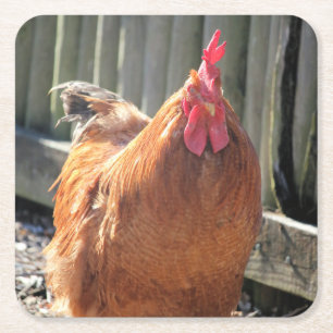 Rood Vierkante Kartonnen Onderzetter