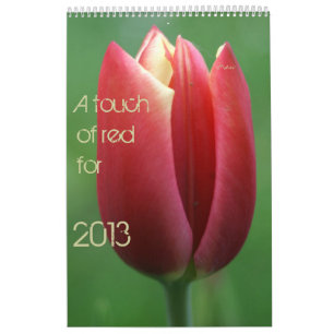 rood voor 2013 kalender
