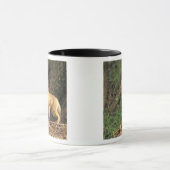 Rood vossen voor de pup (Vulpes vulpes) Mok (Midden)