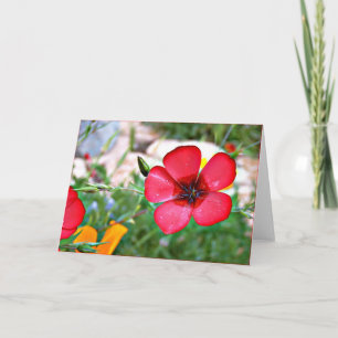 Rood Wildflower Wenskaart Bedankkaart