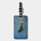 Rood-Winged Black Bird-zingen Bagagelabel (Voorkant verticaal)