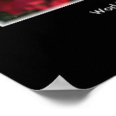 Rood, wit en blauw... poster (Hoek)