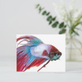 Rood wit en blauw (vis op witte achtergrond) briefkaart (Staand voorkant)