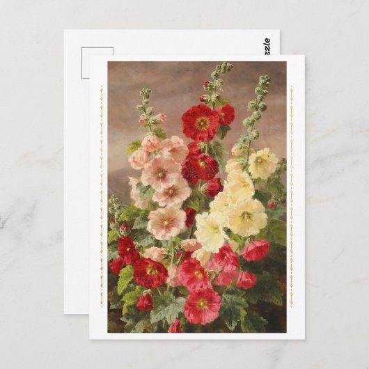Rood, wit en roze hollyhocks, Christensen Briefkaart (Voorkant / Achterkant)
